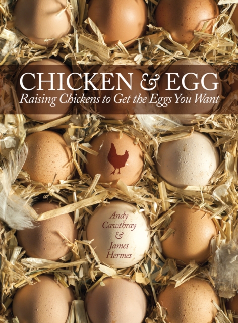 Chicken and Egg : Raising Chickens to Get the Eggs You Want, EPUB eBook