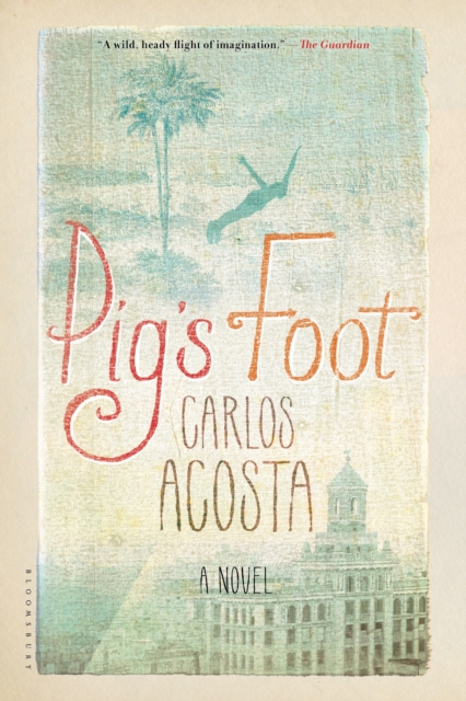 Pig's Foot : A Novel, EPUB eBook