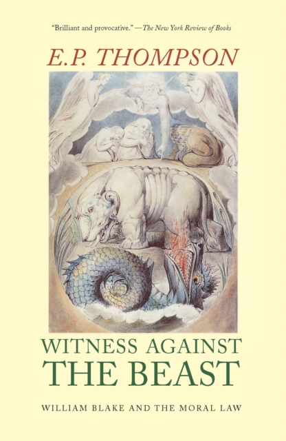 Witness Against the Beast : William Blake and the Moral Law, EPUB eBook