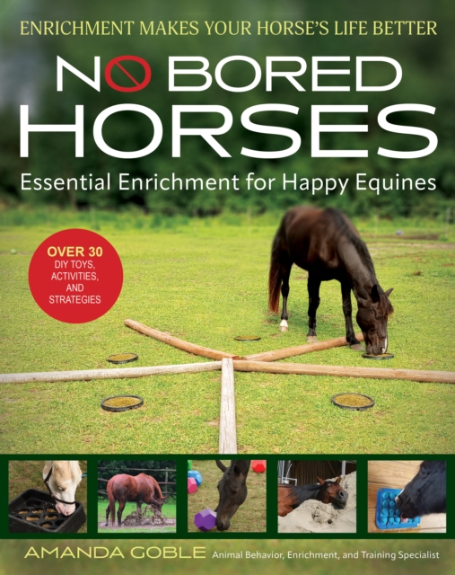 No Bored Horses : Essential Enrichment for Happy Equines, EPUB eBook