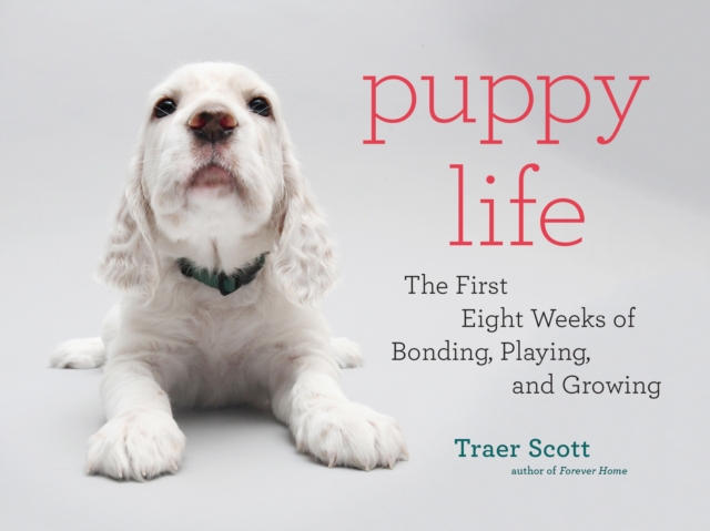 Puppy Life : The First Eight Weeks of Bonding, Playing, and Growing, EPUB eBook