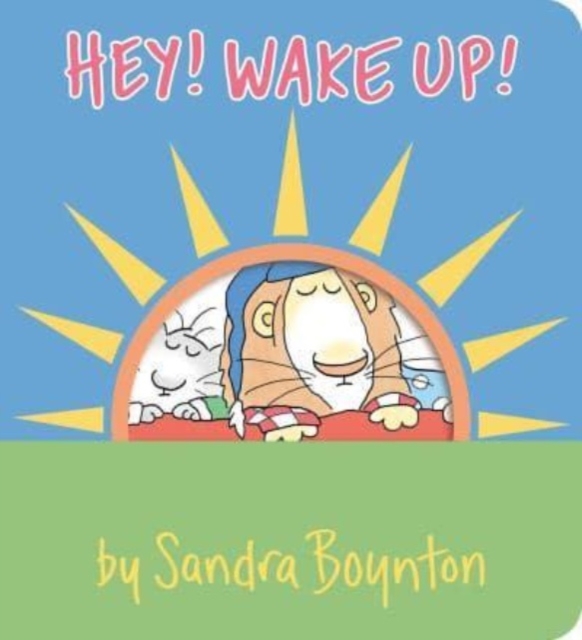 Hey! Wake Up!, Board book Book