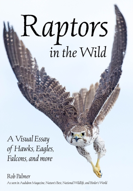 Raptors in the Wild : A Visual Essay of Hawks, Eagles, Falcons and More, EPUB eBook