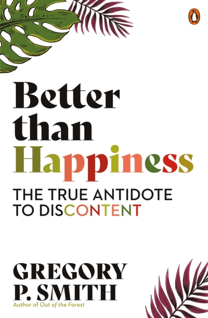 Better than Happiness : The True Antidote to Discontent, EPUB eBook