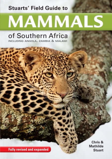 Stuarts' Field Guide to mammals of southern Africa : Including Angola, Zambia & Malawi, EPUB eBook
