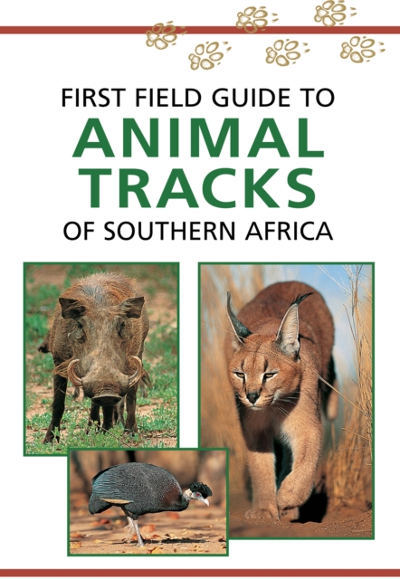 Sasol First Field Guide to Animal Tracks of Southern Africa, PDF eBook