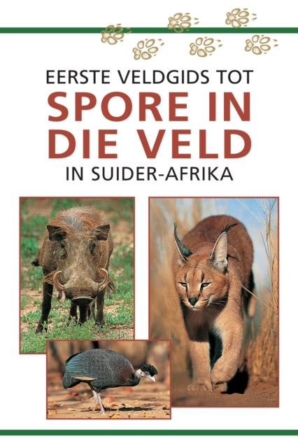 Sasol Eerste Veldgids tot Spore in die veld van Suider Afrika, EPUB eBook