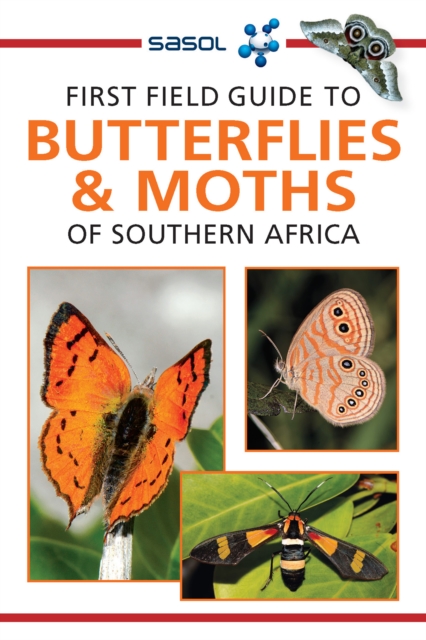 Sasol First Field Guide to Butterflies & Moths, EPUB eBook