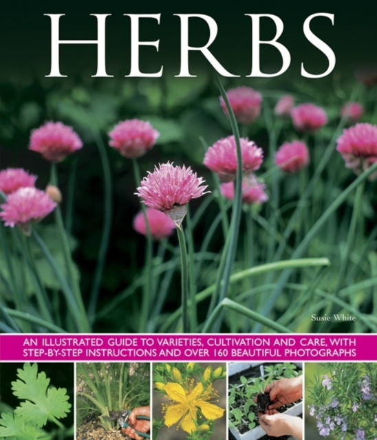 Herbs : An Illustrated Guide to Varieties, Cultivation and Care, with Step-by-step Instructions and Over 160 Beautiful Photographs, Hardback Book