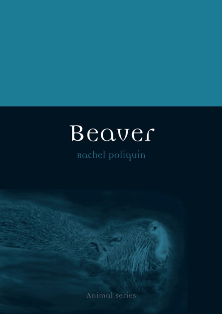 Beaver, Paperback / softback Book