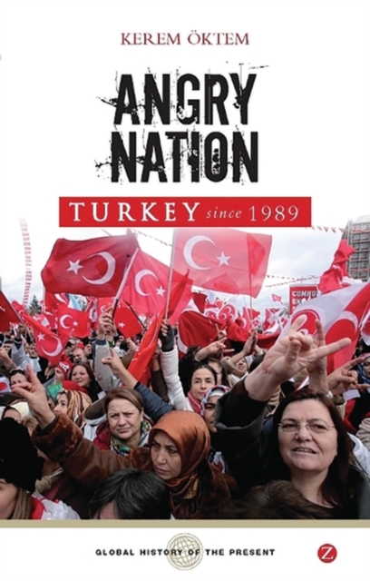 Angry Nation : Turkey since 1989, EPUB eBook