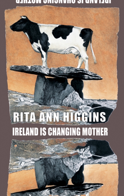Ireland Is Changing Mother, EPUB eBook