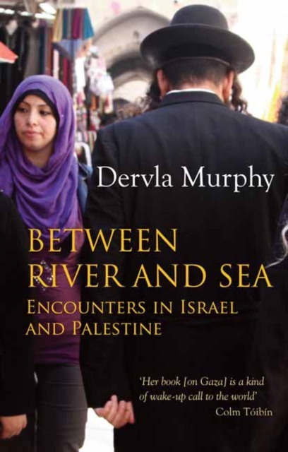 Between River and Sea : Encounters in Israel and Palestine, Paperback / softback Book