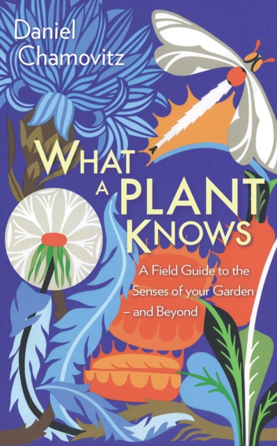 What a Plant Knows : A Field Guide to the Senses of Your Garden - and Beyond, EPUB eBook