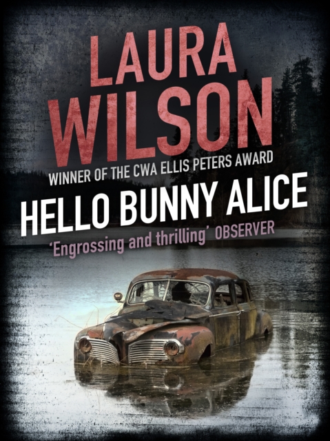 Hello Bunny Alice, EPUB eBook