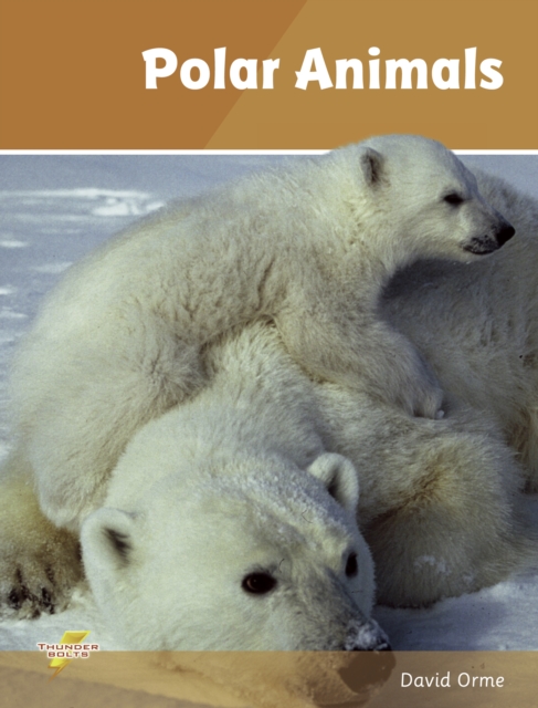 Polar Animals : Set 4, Paperback / softback Book