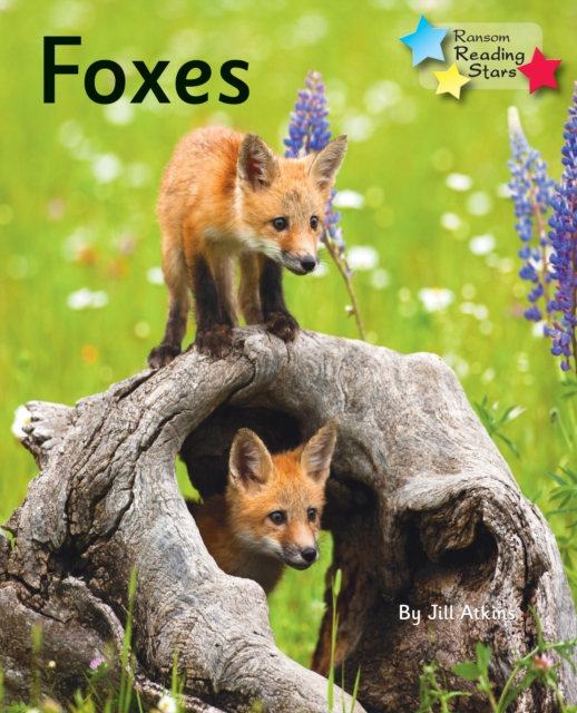 Foxes : Phonics Phase 5, Paperback / softback Book