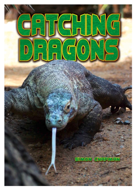 Catching Dragons, EPUB eBook