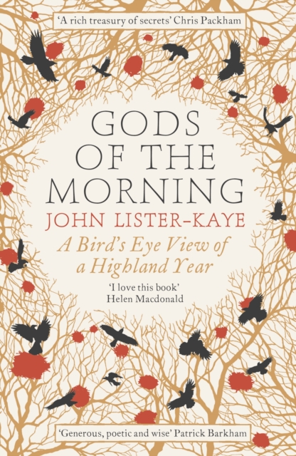 Gods of the Morning : A Bird’s Eye View of a Highland Year, Paperback / softback Book