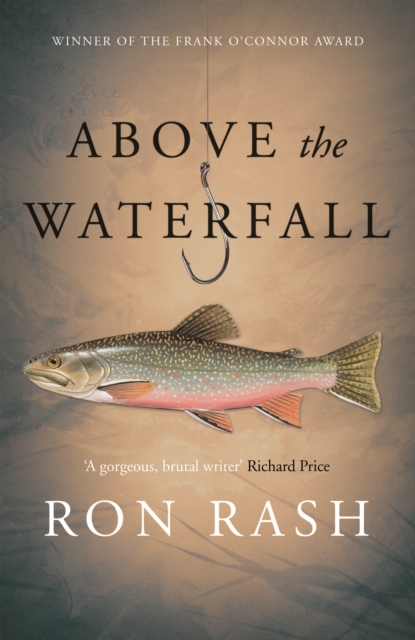 Above the Waterfall, Paperback / softback Book
