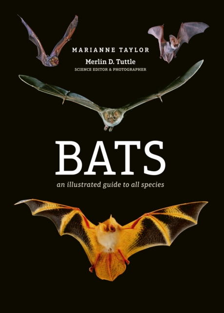 Bats : An illustrated guide to all species, Hardback Book