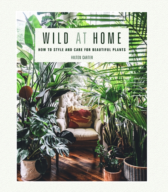 Wild at Home : How to Style and Care for Beautiful Plants, Hardback Book