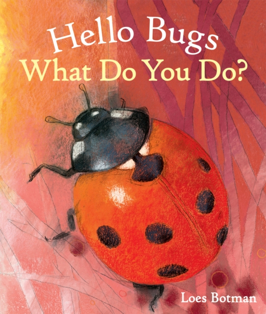 Hello Bugs, What Do You Do?, Board book Book