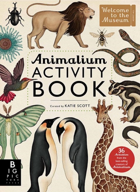 Animalium Activity Book, Paperback / softback Book