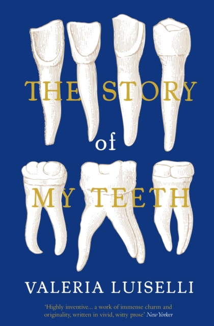 The Story of My Teeth, Paperback / softback Book