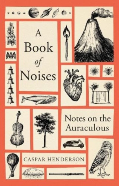 A Book of Noises : Notes on the Auraculous, Hardback Book