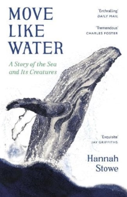 Move Like Water : A Story of the Sea and Its Creatures, Paperback / softback Book