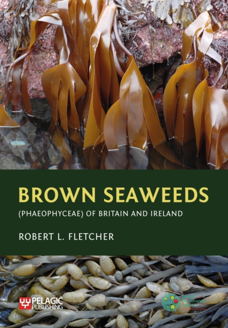 Brown Seaweeds (Phaeophyceae) of Britain and Ireland, Hardback Book