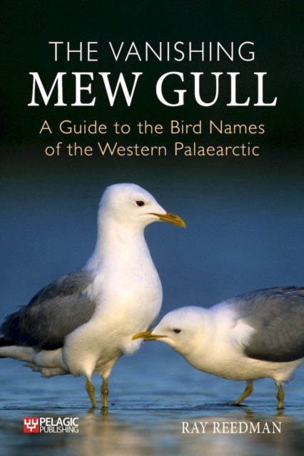 The Vanishing Mew Gull : A Guide to the Bird Names of the Western Palaearctic, EPUB eBook
