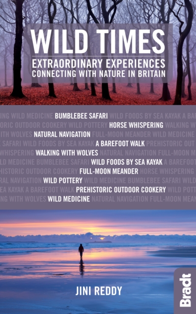 Wild Times : Extraordinary Experiences Connecting with Nature in Britain, Paperback / softback Book