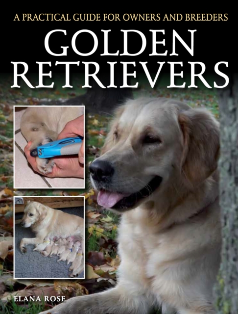 Golden Retrievers : A Practical Guide for Owners and Breeders, Paperback / softback Book