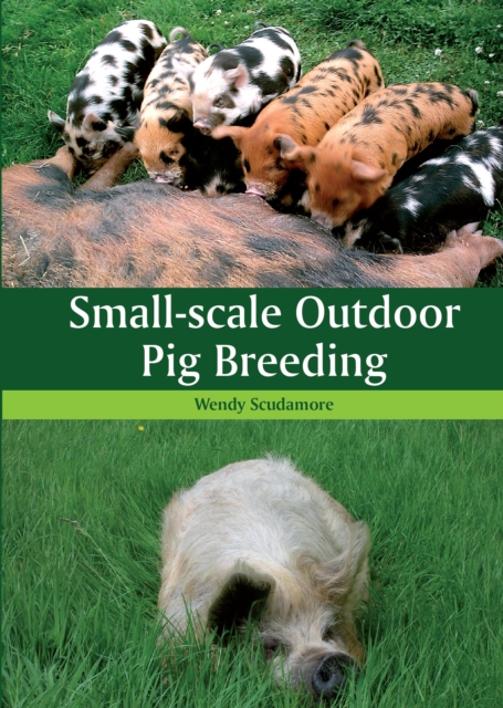 Small-scale Outdoor Pig Breeding, EPUB eBook