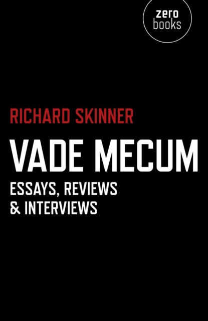 Vade Mecum : Essays, Reviews & Interviews, EPUB eBook