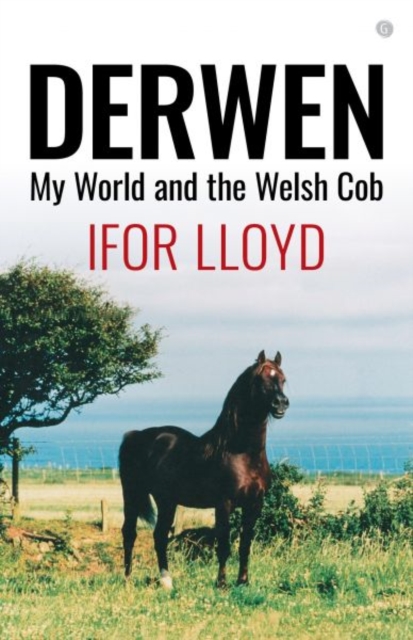 Derwen - My World and the Welsh Cob, Paperback / softback Book