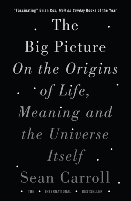 The Big Picture : On the Origins of Life, Meaning, and the Universe Itself, Paperback / softback Book