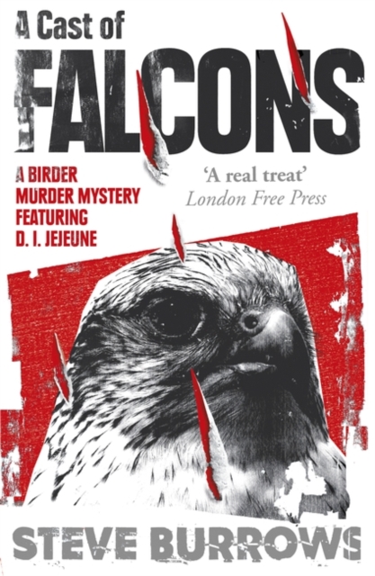 A Cast of Falcons : A Birder Murder Mystery, Paperback / softback Book