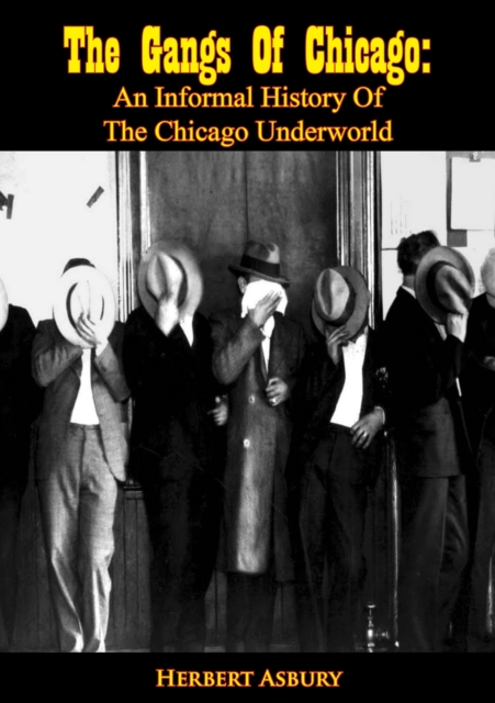 The Gangs Of Chicago, EPUB eBook