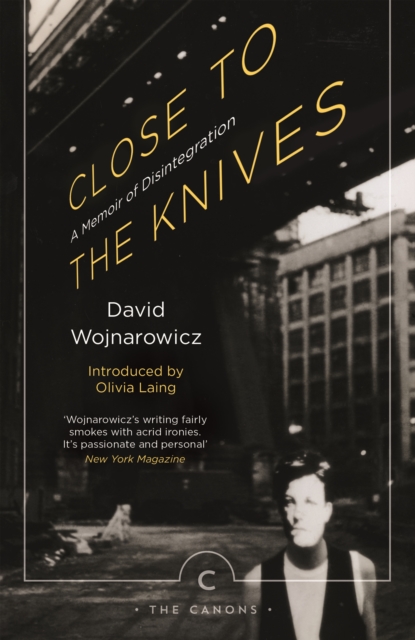 Close to the Knives : A Memoir of Disintegration, Paperback / softback Book