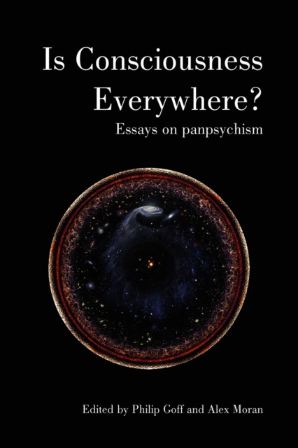 Is Consciousness Everywhere? : Essays on Panpsychism, EPUB eBook