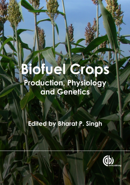 Biofuel Crops : Production, Physiology and Genetics, EPUB eBook