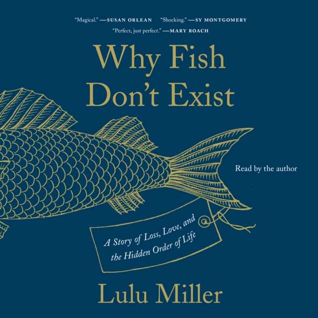 Why Fish Don't Exist : A Story of Loss, Love, and the Hidden Order of Life, eAudiobook MP3 eaudioBook