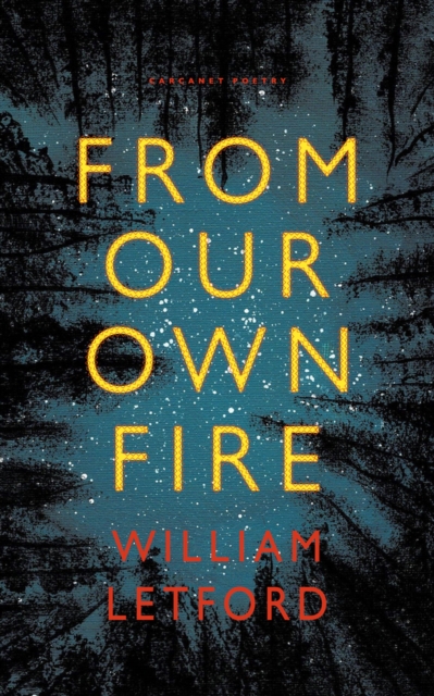 From Our Own Fire, Paperback / softback Book