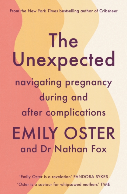 The Unexpected : Navigating Pregnancy During and After Complications, Paperback / softback Book