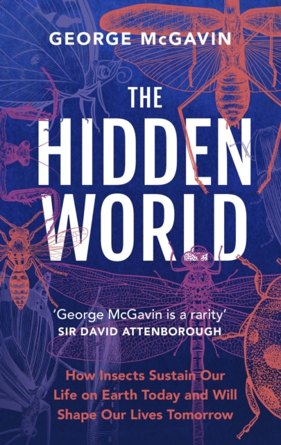 The Hidden World : How Insects Sustain Life on Earth Today and Will Shape Our Lives Tomorrow, Hardback Book