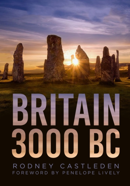 Britain 3000 BC, Paperback / softback Book