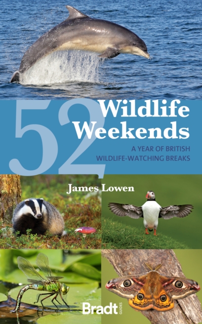 52 Wildlife Weekends : A Year of British Wildlife-Watching Breaks, Paperback / softback Book